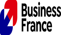 Marketplace Business France